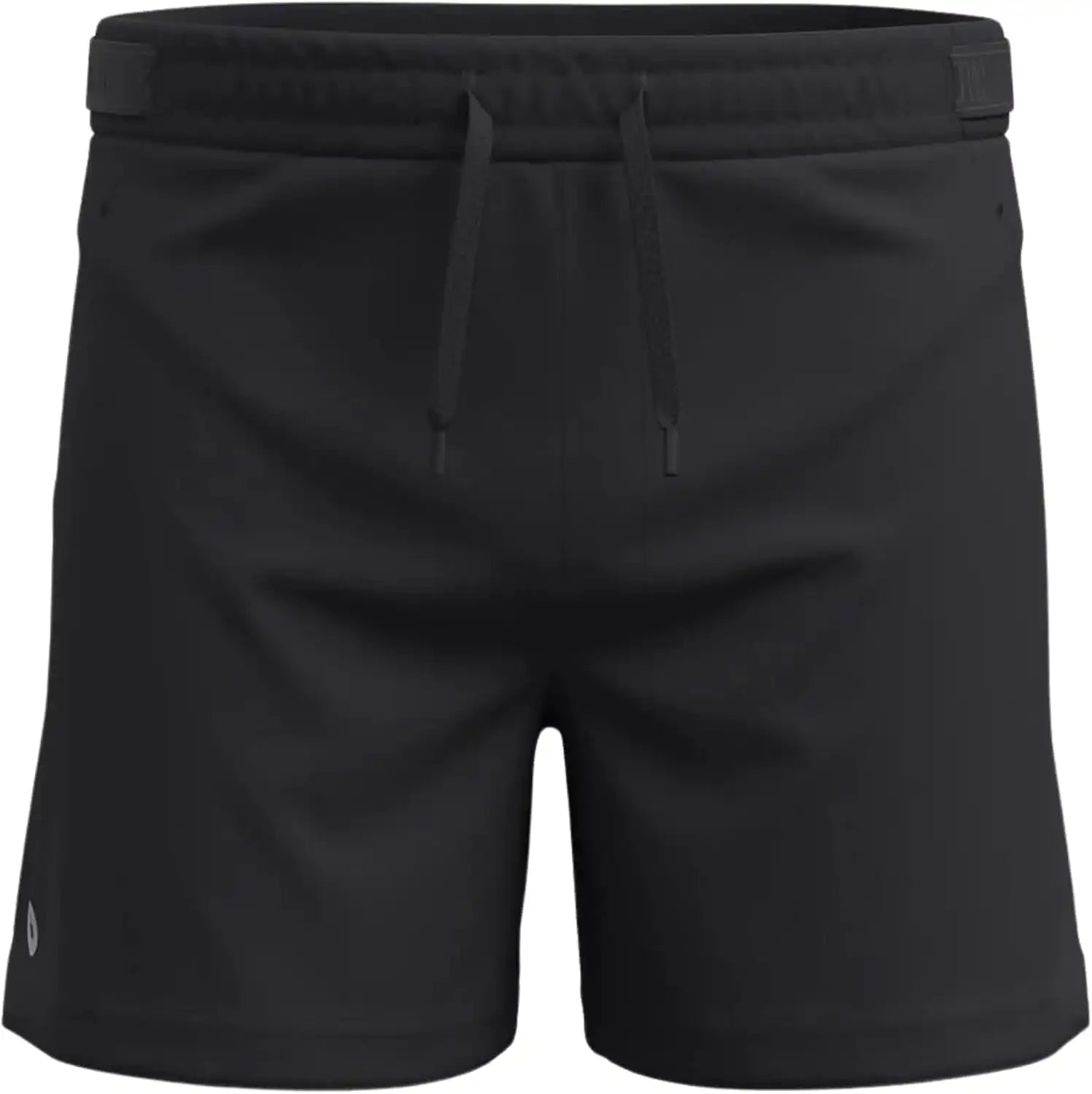 Smartwool Men's Active Lined 5" Shorts
