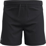 Smartwool Men's Active Lined 5" Shorts
