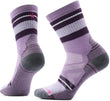 Smartwool Women's Hike Full Cushion Saturnsphere Crew Socks