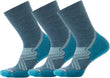 Smartwool Women's Run Cold Weather Targeted Cushion Crew Socks