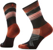 Smartwool Women's Bike Targeted Cushion Cold Weather Crew Socks