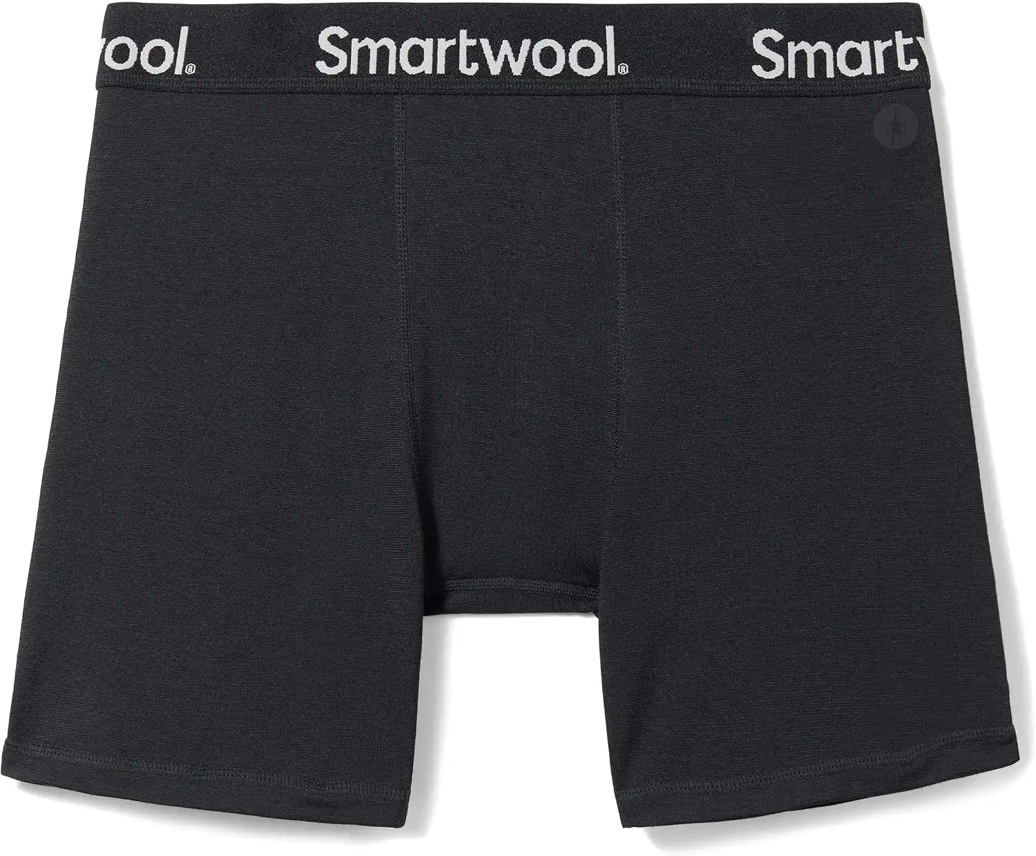 Smartwool Men's Active Boxer Brief Boxed